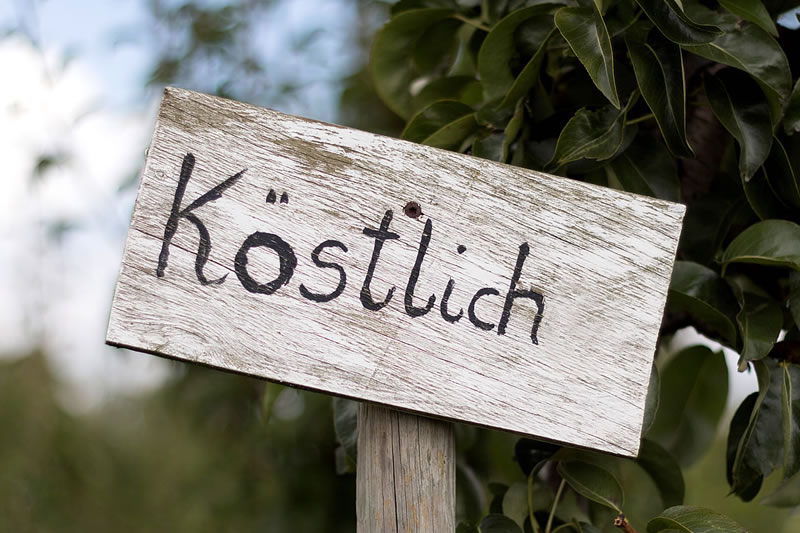 Obsthof Korn - Fotogalerie